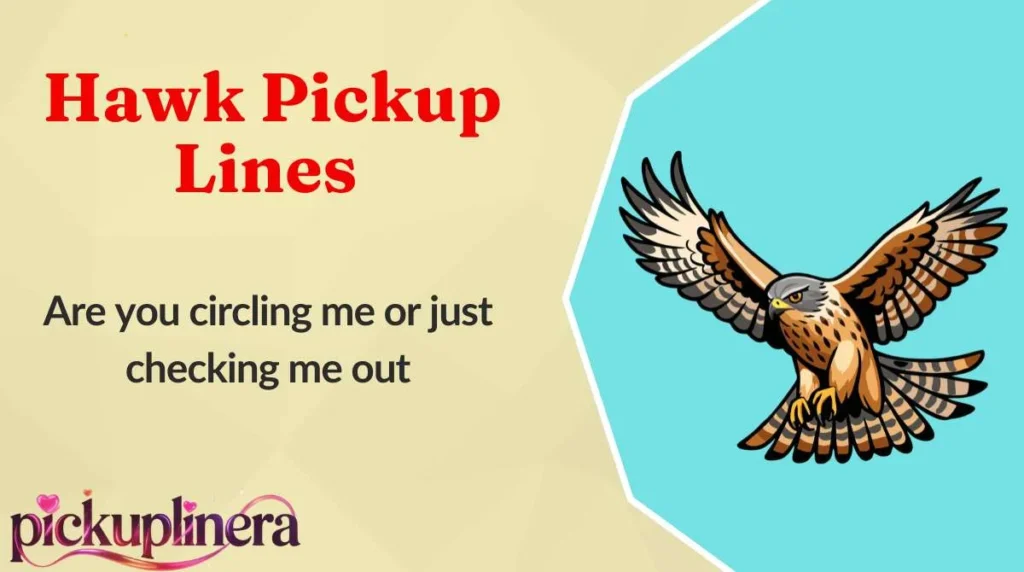 Hawk Pickup Lines