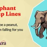 Elephant Pickup Lines