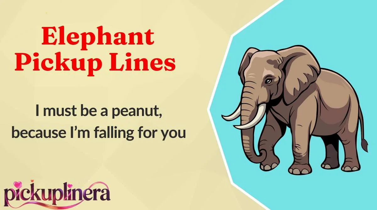 Elephant Pickup Lines