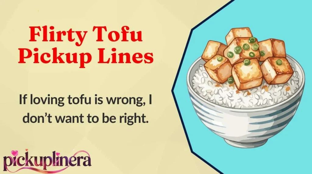 Flirty Tofu Pickup Lines