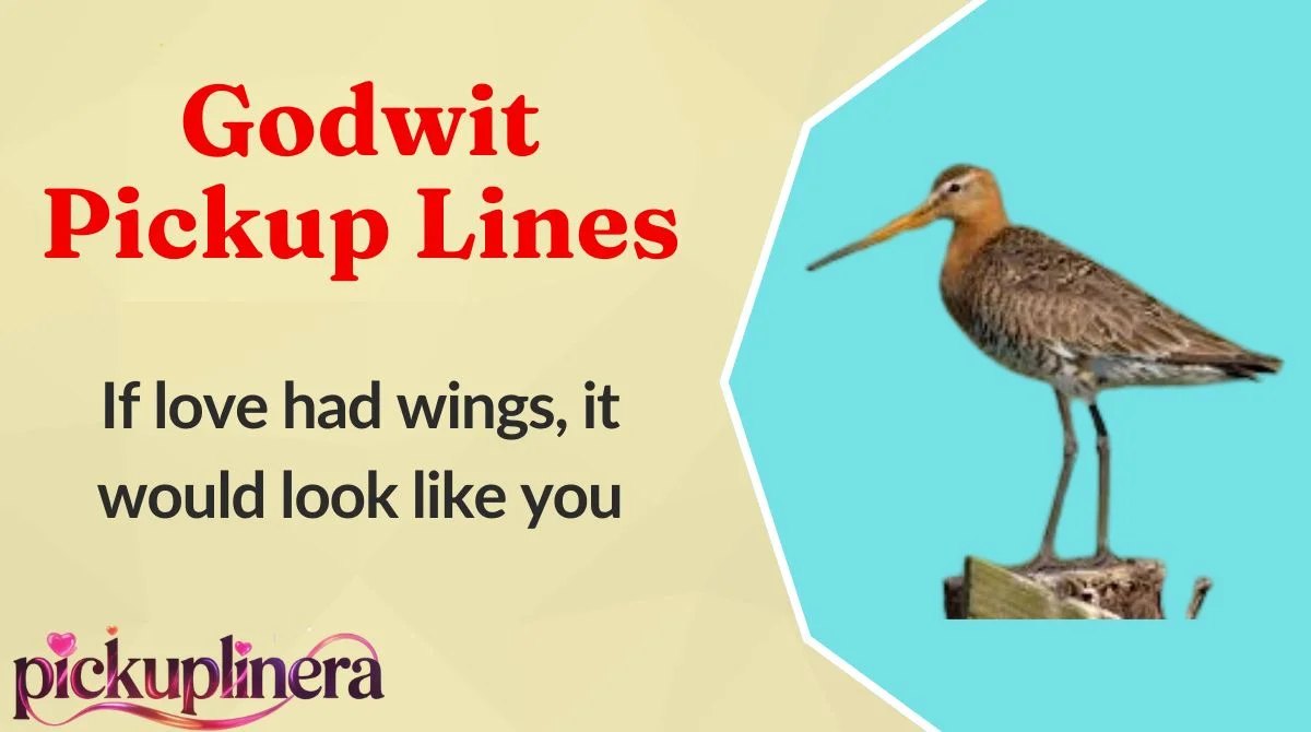 Godwit Pickup Lines