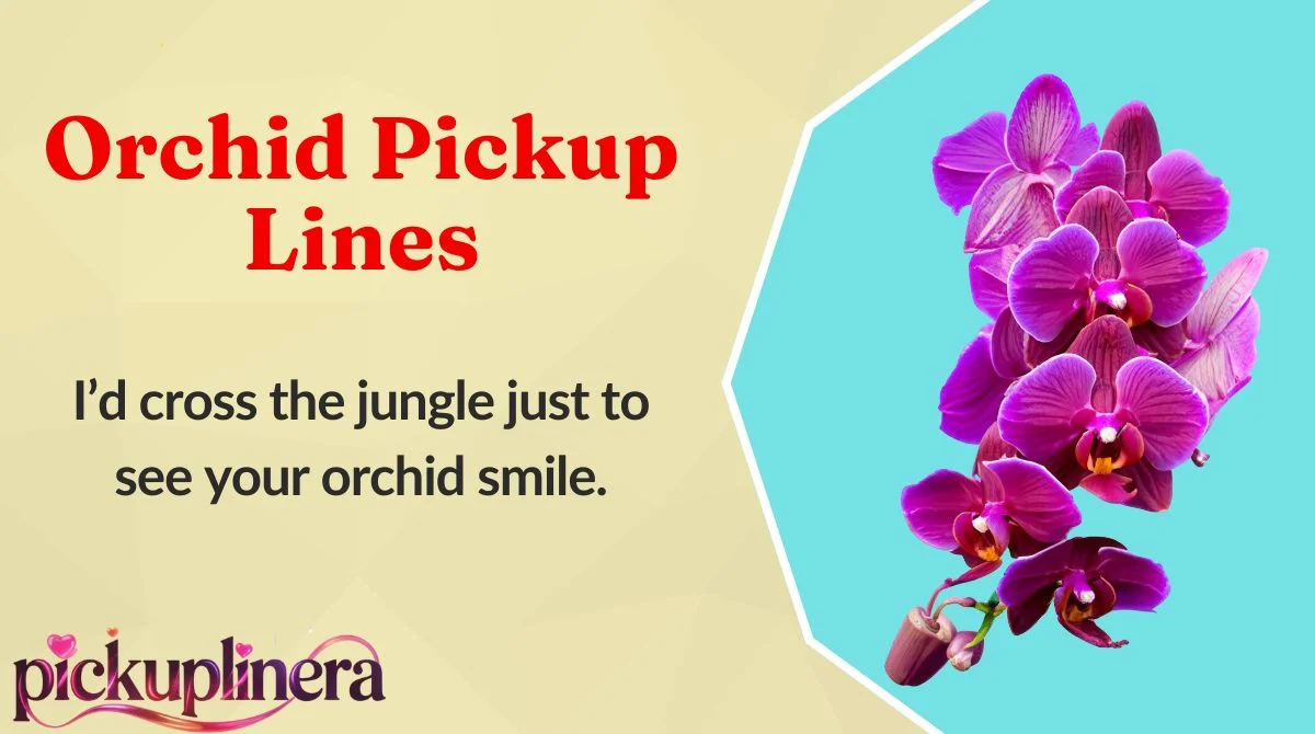 Orchid Pickup Lines